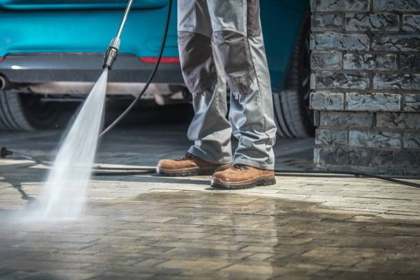 Best Driveway Cleaning and Restoration in Carlyle, IL