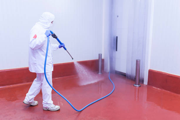 Best Vinyl Siding Pressure Washing in Carlyle, IL